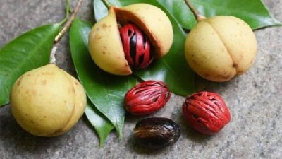 Inilah Sederet Manfaat Buah Pala bagi Kesehatan Tubuh