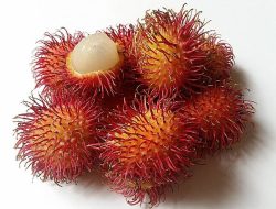 Rambutan, Buah Tropis yang Kaya Nutrisi dan Manfaat Kesehatan