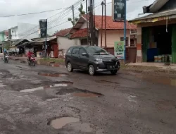 HATI-HATI! Lubang Jalan Hiasi Jalur Pagaden – Pamanukan Subang