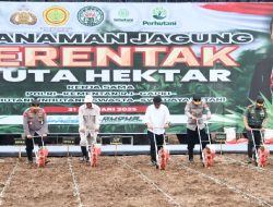 Kabupaten Subang Jadi Model Nasional Gerakan Penanaman Jagung 1 Juta Hektare