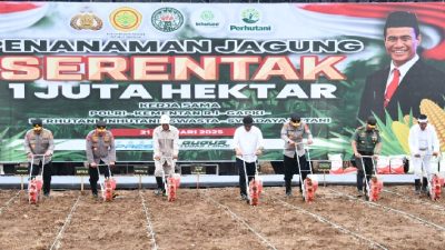 Kabupaten Subang Jadi Model Nasional Gerakan Penanaman Jagung 1 Juta Hektare