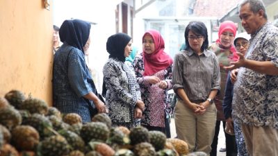 Dekranasda Jabar Kunjungi Sentra Nanas di Kabupaten Subang