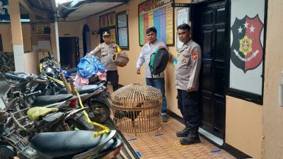 Polsek Blanakan Subang Grebeg Judi Sabung Ayam, 1 Ekor Ayam dan Puluhan Motor Diamankan