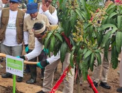 Jaga Kelestarian Hutan dan Lingkungan, Kementerian Kehutanan Akan Tanam 10 Ribu Pohon di Majalengka