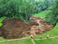 Sawah Seluas 7.000 Meter Persegi Ambles di Subang, Badan Geologi Ungkap Penyebabnya