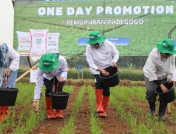 Tingkatkan Kesejahteraan Petani, Pupuk Indonesia Beri Pendampingan Petani di Subang dengan Program Makmur