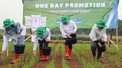 Tingkatkan Kesejahteraan Petani, Pupuk Indonesia Beri Pendampingan Petani di Subang dengan Program Makmur