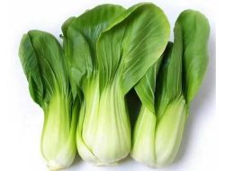 Ini 6 Makanan yang Dianjurkan untuk Menjaga Tulang Tetap Kuat di Usia 50-an