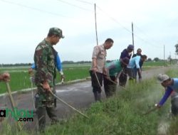 Puluhan Petani di Patokbeusi Subang Buru Hama Tikus