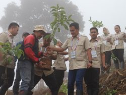 Rayakan HUT Ke-17, Gerindra Subang Tanam 1000 Pohon di Bukanagara