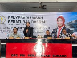 Sosialisasi Perda Kewirausahaan di Subang, Ineu Purwadewi Dorong Pemerintah Perkuat Pelatihan dan Akses Permodalan UMKM