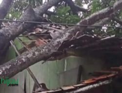 Rumah Warga di Ciasem Subang, Jebol Dihajar Angin Kencang
