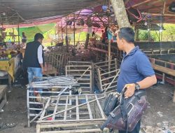 Polsek Pamanukan Subang Gerebek Tempat Sabung Ayam, Puluhan Motor Ditinggalkan Pemiliknya
