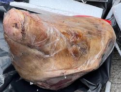 Polri Berjanji Akan Usut Tuntas Kasus Teror terhadap Jurnalis Tempo