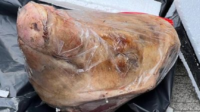 Terkait Paket Kepala Babi, Pemerintah Tegaskan Kebebasan Pers di Indonesia Masih Baik