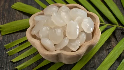 Manfaat Mengkonsumsi Kolang-Kaling untuk Kesehatan Tubuh