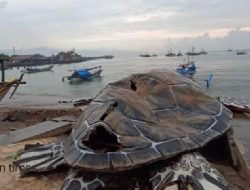 Viral di Medsos, Disperkim Jabar Bantah Biaya Replika Penyu Gadobangkong Sukabumi Rp15,6 Miliar