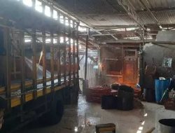 Rumah Potong Ayam yang Diduga Gelonggongan Kembali Beroperasi Pasca Penggerebekan