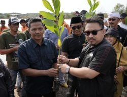 Halau Banjir Rob, 24 Ribu Pohon Mangrove Ditanam di Pesisir Pantai Utara Subang