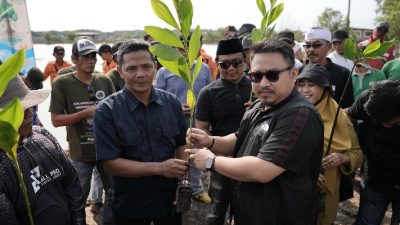 Halau Banjir Rob, 24 Ribu Pohon Mangrove Ditanam di Pesisir Pantai Utara Subang