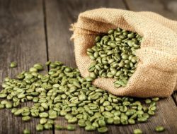 Manfaat Kopi Hijau untuk Kesehatan Tubuh, Mulai dari Antioksidan Hingga Menjaga Berat Badan