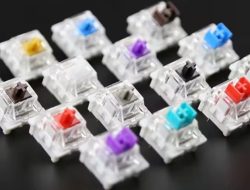 Panduan Singkat Mengenal Jenis-Jenis Switch Keyboard Mekanik