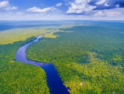 Hutan Amazon Diserbu Rating Bintang 1 oleh Netizen Indonesia, Balasan atas Kritik Brasil terhadap Rinjani
