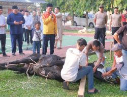 Polres Subang Bagikan 20 Hewan Kurban di Momen Idul Adha 1446 H