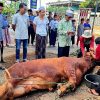 Yoshua Sirait Sumbang Sapi Limosin untuk Kurban di Majelis Shalawat Katomas Subang