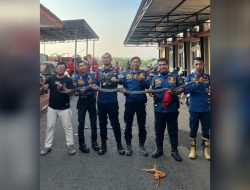 Warga Majalengka Geger, King Cobra Sepanjang 3 Meter Dievakuasi dari Permukiman