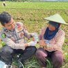 Senyum Sehat Petani Cibatu: Bhakti Kesehatan Polres Majalengka di Hari Bhayangkara ke-79