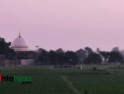 Makna dan Tiga Keutamaan Puasa Arafah di Puncak Dzulhijjah