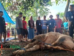 Semangat Kebersamaan Warnai Pelaksanaan Kurban di Puri Subang Asri, 400 Paket Siap Distribusikan