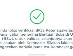 Inilah Tahapan dan Cara Cek BSU 2025 dari BPJS ke Kemnaker