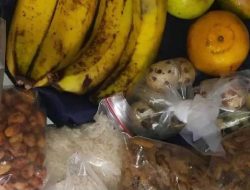 Menu MBG di Tangsel Diebrikan dalam Bentuk Bahan Mentah, SPPG Berikan Alasannya