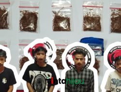 Polres Subang Bongkar Jaringan Tembakau Sintetis, Diproduksi dari Kamar Kos