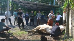 Perumda Tirta Rangga Subang Bagikan Daging Qurban ke Warga Sekitar Sumber Air