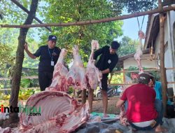 Waspada! Penyakit Setelah Idul Adha yang Perlu Diantisipasi