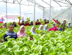 Perkuat Program Ketahanan Pangan Lewat Berkebun Sistem Hidroponik