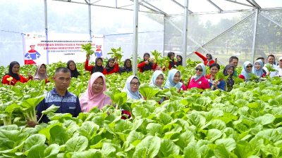 Perkuat Program Ketahanan Pangan Lewat Berkebun Sistem Hidroponik