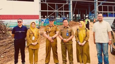 Pabrik Mobil Listrik VinFast di Subang Ditarget Beroperasi Awal 2026