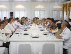 JICA dan Jepang Lirik Potensi Investasi di Subang