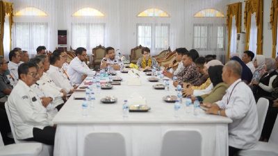 JICA dan Jepang Lirik Potensi Investasi di Subang