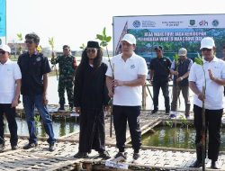 Wamen Lingkungan Hidup Tanam Mangrove di Pantura Subang untuk Atasi Sampah