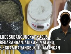 Polres Subang Ungkap Peredaran Ganja di Kasomalang, 316,8 Gram Barang Bukti Diamankan