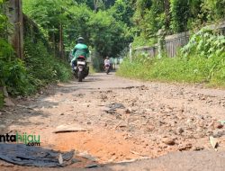 Dikeluhkan Warga, Dinas PUPR Subang Rencana Perbaiki Akses Jalan Jembatan Jesse Park