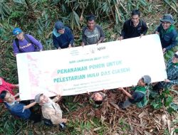 Peringati Hari Lingkungan Hidup Sedunia, PALAMUS dan Petani Kopi Tanam 1.000 Pohon di Hulu DAS Ciasem Subang