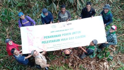 Peringati Hari Lingkungan Hidup Sedunia, PALAMUS dan Petani Kopi Tanam 1.000 Pohon di Hulu DAS Ciasem Subang