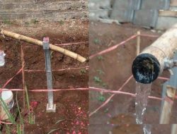 Bambu ‘Ajaib’ di Cianjur Dibongkar, Pemerintah Desa Khawatirkan Kemusyrikan