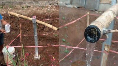 Bambu ‘Ajaib’ di Cianjur Dibongkar, Pemerintah Desa Khawatirkan Kemusyrikan